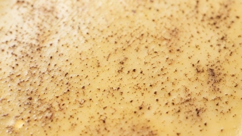 Delia Smith Egg Custard Recipe 1 Delia Smith Egg Custard Recipe